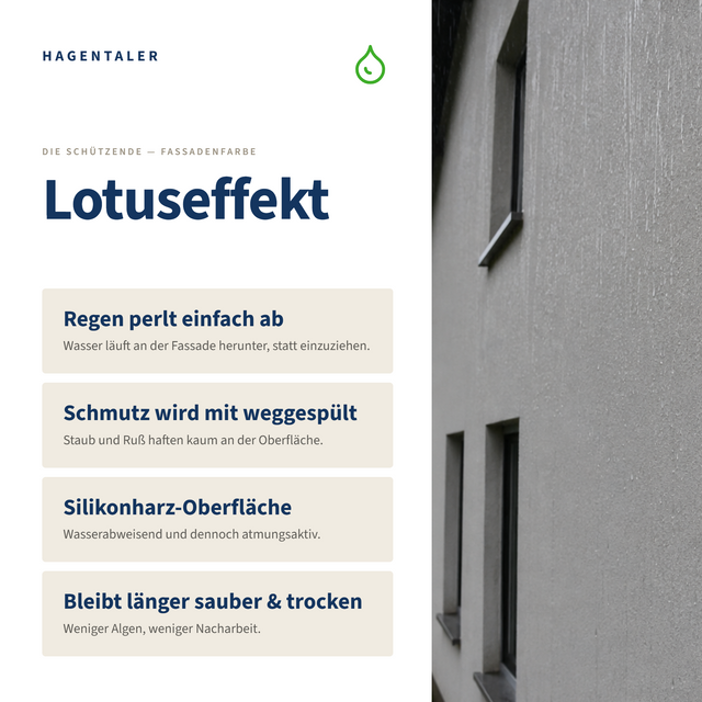 Fassadenfarbe in 041 Feigenlaub - Hagentaler