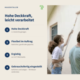 Fassadenfarbe im Set in 258 Eukalyptus - Hagentaler