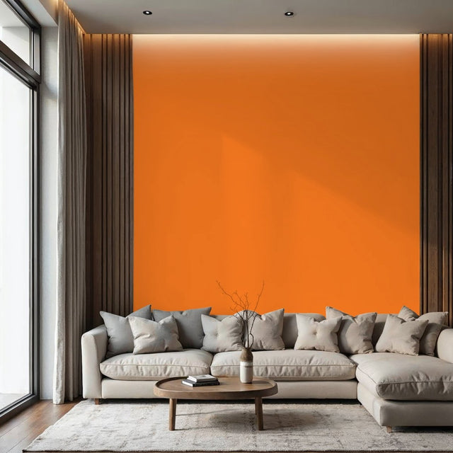 Türenlack in RAL 2003 - Pastellorange - Hagentaler