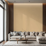 Türenlack im Set in RAL 1001 - Beige